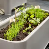 IKEA ASPAREN (ИКЕА АСПАРЕН) — Цветочный горшок, цвет серый, 89x38 см — фото 2