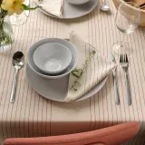 IKEA VIPPSTARR (ИКЕА ВИППСТАРР) — Скатерть, полосатый узор, красный/натуральный, 150x150 см — фото 5
