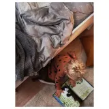 IKEA NATTSLÄNDA (ИКЕА НАТТСЛЭНДА) — Пододеяльник и наволочка, цветочный узор, серый/белый, 150x200/50x60 см — фото 5