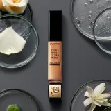Lancome Teint Idole Ultra Wear All Over Concealer - Долговременный корректор, 13 мл, оттенок 03 Beige Diaphane — фото 4