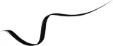 Lancome Lash Idole Liner - Подводка для глаз водостойкая, 1 мл, оттенок 01 Black — фото 2