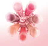 Lancome Idole Juicy Blush - Румяна в жидкой форме, оттенок 90 Berry Bisou — фото 5