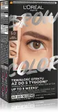 L’Oreal Paris Brow Color - Краска для бровей, 1 шт, оттенок 5.0 Brunette — фото 1
