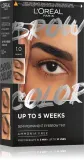 L’Oreal Paris Brow Color - Краска для бровей, 1 шт, оттенок 1.0 Black — фото 1