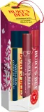 Burt’s Bees Festive Mistletoe Kiss - Подарочный набор для губ — фото 1