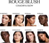 DIOR Rouge Blush Colour & Glow - Палетка многофункциональная, 8 г, оттенок 100 Diorissimo — фото 5