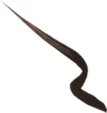 Barry M Precision - Подводка для глаз в жидкой форме, 0.55 мл, оттенок Brown — фото 2