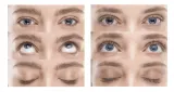 Сыворотка для ресниц и бровей FacEvolution Hairplus с экстрактом женьшеня, прозрачная, 4,5 мл — фото 2
