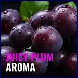 Dermacol Aroma Moment Plummy Monster - Подарочный набор детской косметики Plum fragrances аромат Plum — фото 3