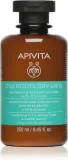 Apivita Oily Roots & Dry Ends Shampoo - Шампунь для жирной кожи головы и сухих кончиков, 250 мл — фото 1