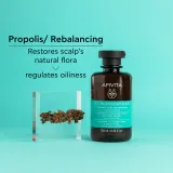 Apivita Oily Roots & Dry Ends Shampoo - Шампунь для жирной кожи головы и сухих кончиков, 250 мл — фото 7
