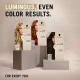 Schwarzkopf Creme Supreme - стойкая краска для волос, 60 мл, оттенок 8-0 Natural Light Blonde — фото 6