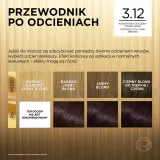 Краска для волос L’Oreal Paris Preference Cool Blondes стойкая, для домашнего окрашивания, 1 шт, оттенок 3.12 Toronto — фото 7