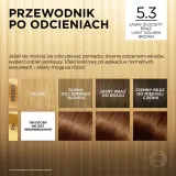 L’Oreal Paris Preference - Краска для волос, 1 шт, оттенок 5.3 Virginie — фото 7