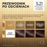 L’Oreal Paris Preference - Краска для волос, 1 шт, оттенок 5.21 Cool Iridescent Light Brown — фото 6