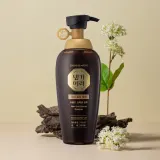 DAENG GI MEO RI New Gold Special Shampoo - Укрепляющий шампунь для жирных волос, 500 мл — фото 2
