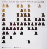 Goldwell Topchic Permanent Hair Color - Краска для волос, 60 мл, оттенок 10 N — фото 3