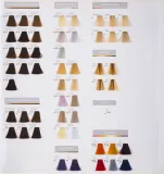 Goldwell Topchic Permanent Hair Color - Краска для волос, 60 мл, оттенок 10 N — фото 4