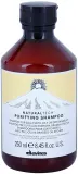 Davines Naturaltech Purifying Shampoo - Шампунь против перхоти очищающий — фото 1