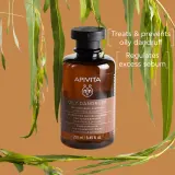 Apivita Dandruff Oily Dandruff Shampoo - Шампунь против перхоти для жирных волос, 250 мл — фото 2