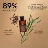 Apivita Dandruff Oily Dandruff Shampoo - Шампунь против перхоти для жирных волос, 250 мл — фото 3