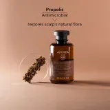 Apivita Dandruff Oily Dandruff Shampoo - Шампунь против перхоти для жирных волос, 250 мл — фото 6