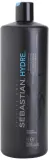 Sebastian Professional Hydre - Шампунь для сухих и поврежденных волос — фото 1