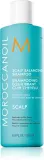 Moroccanoil Scalp Balancing Shampoo - Успокаивающий шампунь для жирных волос — фото 1