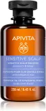 Apivita Sensitive Scalp Shampoo - Шампунь для чувствительной и раздраженной кожи головы без сульфатов, 250 мл — фото 1
