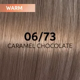 Wella Professionals Shinefinity Zero Lift Glaze - Деми-перманентная краска для волос, 60 мл, оттенок 06/73 - Caramel Chocolate — фото 2