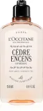 L’Occitane Men Eau des Baux - Гель для душа для тела и волос, 250 мл — фото 1