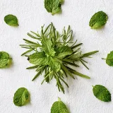 Aveda Rosemary Mint Purifying Shampoo - Глубоко очищающий шампунь для придания блеска — фото 4