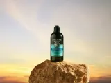 L’Occitane Aromachology - Очищающий шампунь для нормальных и склонных к жирности волос, 300 мл — фото 2