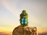 L’Occitane Aromachology - Очищающий шампунь для нормальных и склонных к жирности волос, 300 мл — фото 3