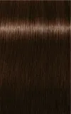 Schwarzkopf Professional IGORA Royal Absolutes - Краска для волос, 60 мл, оттенок 4-60 Medium Brown Chocolate Natural — фото 2