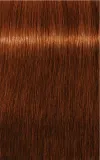 Schwarzkopf Professional IGORA Royal Absolutes - Краска для волос, 60 мл, оттенок 6-70 Dark Blonde Copper Natural — фото 2