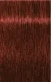 Schwarzkopf Professional IGORA Royal Absolutes - Краска для волос, 60 мл, оттенок 6-80 Dark Blonde Red Natural — фото 2