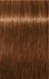 Schwarzkopf Professional IGORA Royal Absolutes - Краска для волос, 60 мл, оттенок 7-60 Medium Blonde Chocolate Natural — фото 2
