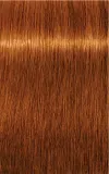 Schwarzkopf Professional IGORA Royal Absolutes - Краска для волос, 60 мл, оттенок 7-70 Medium Blonde Copper Natural — фото 2