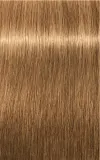 Schwarzkopf Professional IGORA Royal Absolutes - Краска для волос, 60 мл, оттенок 8-50 Light Blonde Gold Natural — фото 2