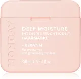 MONDAY Moisture - Интенсивная увлажняющая маска для сухих волос, 250 мл — фото 1