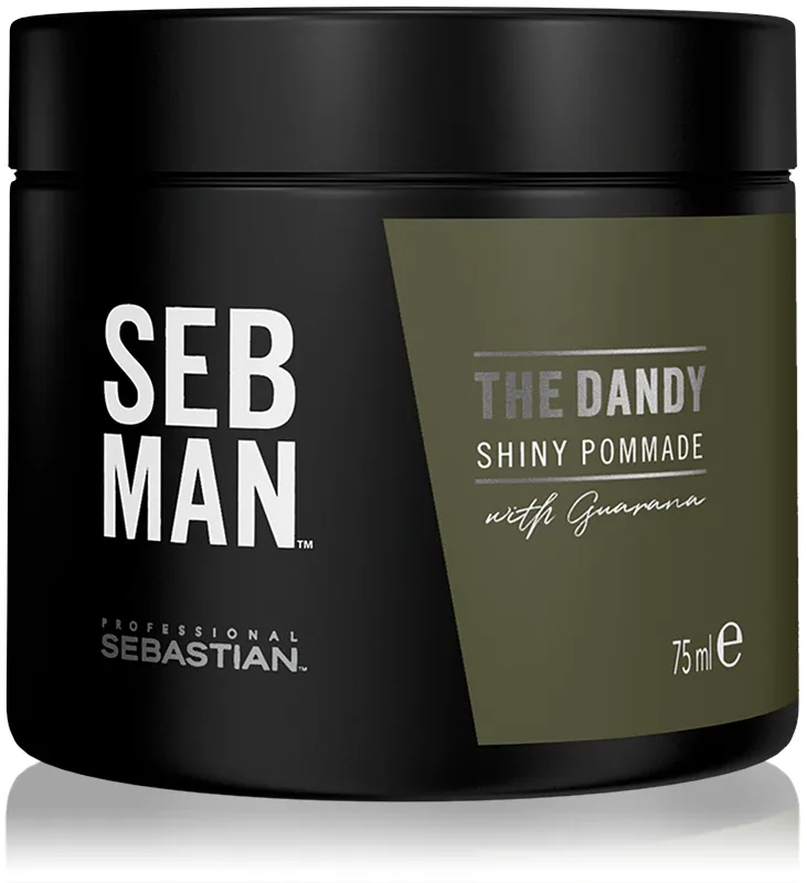 Sebastian Professional SEB MAN The Dandy - Помада для волос для естественной фиксации, 75 мл