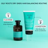 Apivita Oily Roots & Dry Ends Balancing Conditioner - Кондиционер для жирной кожи головы и сухих кончиков, 150 мл — фото 5