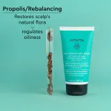 Apivita Oily Roots & Dry Ends Balancing Conditioner - Кондиционер для жирной кожи головы и сухих кончиков, 150 мл — фото 6