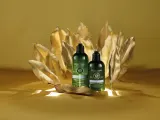 L’Occitane Aromachology - Мягкий мицеллярный шампунь для всех типов волос, 300 мл — фото 2