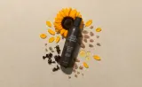 John Masters Organics Intensive Repair - Восстанавливающий шампунь для поврежденных волос, 236 мл — фото 2