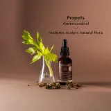 Apivita Dandruff Relief Oil - Уход за кожей головы против жирной перхоти, 50 мл — фото 5