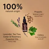 Apivita Dandruff Relief Oil - Уход за кожей головы против жирной перхоти, 50 мл — фото 6