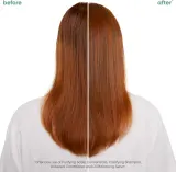 Biolage ScalpSync - Сыворотка для волос против жирности, 50 мл — фото 2