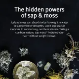 Aveda Sap Moss Weightless Hydrating Conditioner - Увлажняющий кондиционер против пушистости волос, 200 мл — фото 4